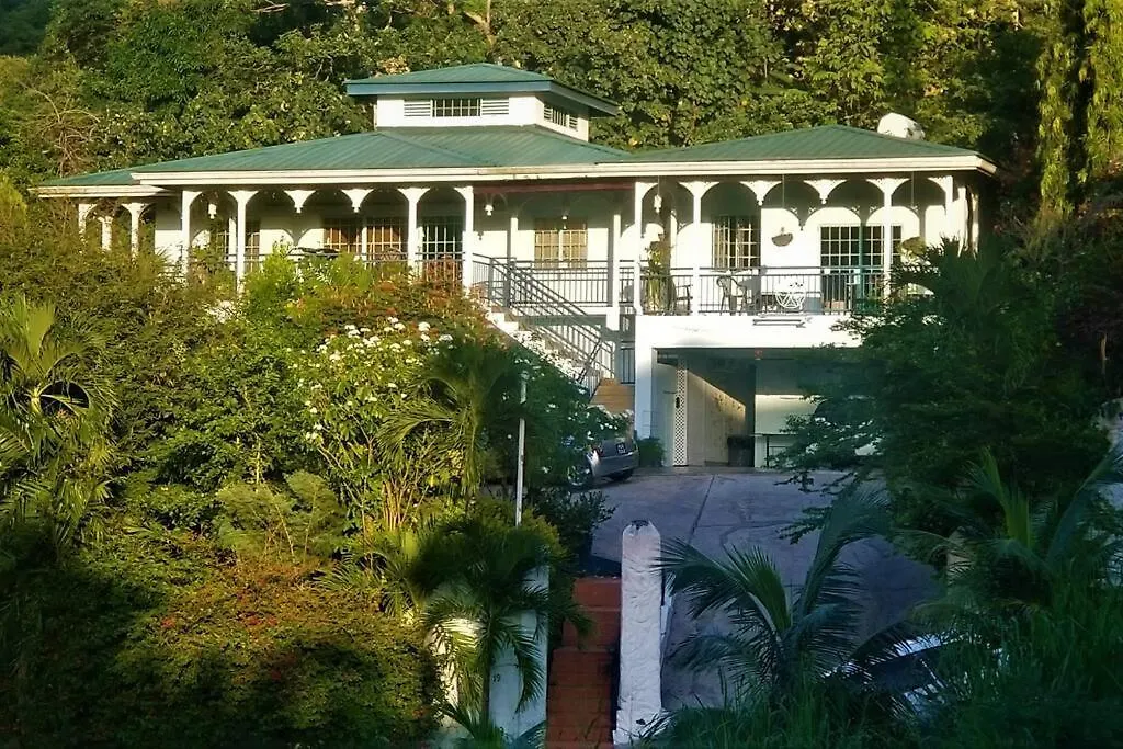 Flower Of Joy Wellness Villa - Buena Vista Suite Saint Elizabeth